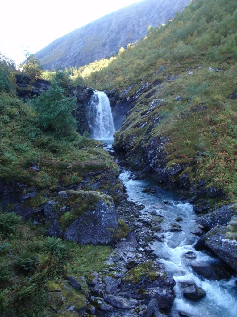 Bilder fra området Herdalselva