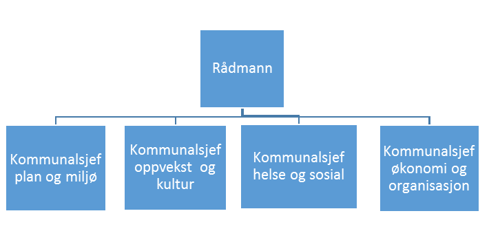 byråkratisk modell, slik Weber beskriver den med en sterk hierarkisk oppbygning, arbeidsdeling (spesialisering) og gjennomgående rutiner.