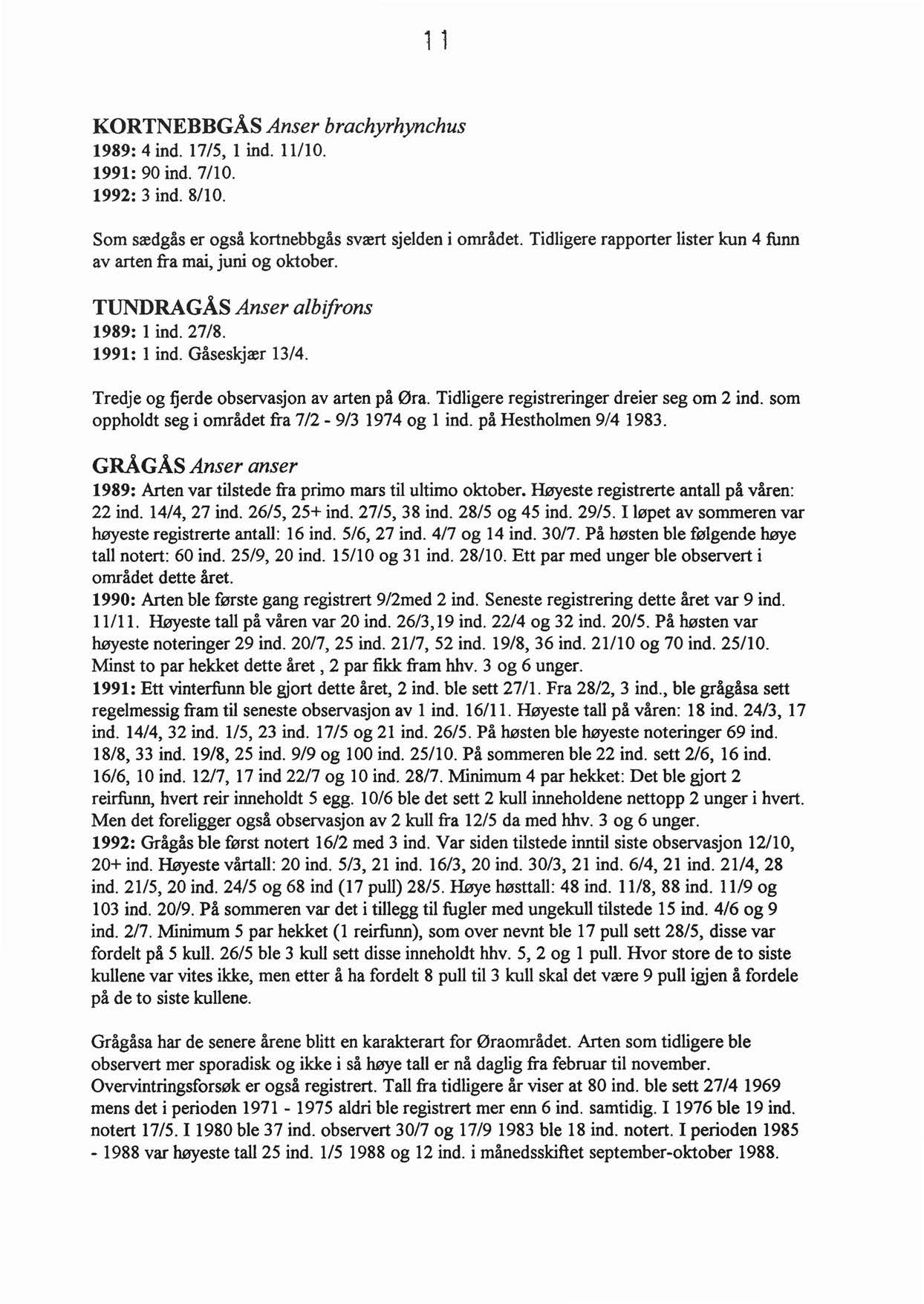 1 1 KORTNEBBGÅS Anser brachyrhynchus 1989: 4 ind. 17/5, l ind. Il/l O. 1991: 90 ind. 7/10. 1992: 3 ind. 8/10. Som sædgås er også kortnebbgås svært sjelden i området.