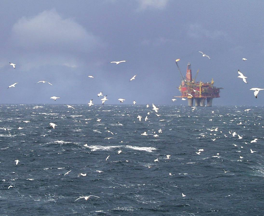 SEAPOP og MAREANO Seabird Population Management and Petroleum Operations gi oversikt over basis og naturlige svingninger for bestand og populasjon skal bli nettbasert portal