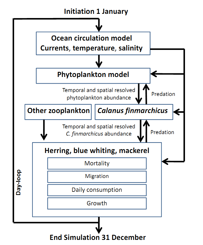 Flowdiagram for the coupled