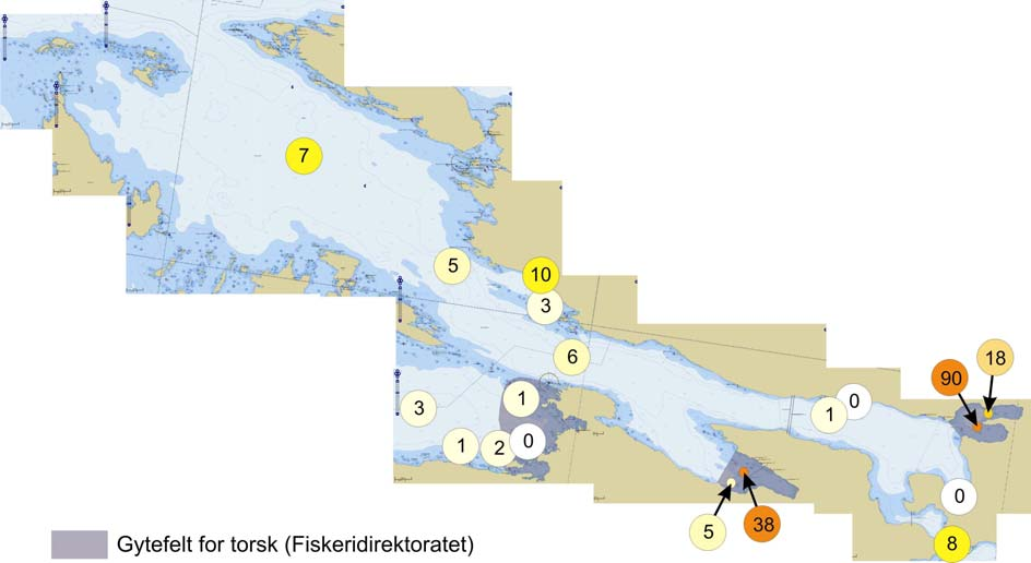 2 Figur 1. Stasjonsnett for eggprøver i Førdefjorden. Tall angir antall torskeegg i prøvene. Det ble også funnet noe egg ute i Brufjorden, ved Skjeljevikneset og innenfor Ålasundet.