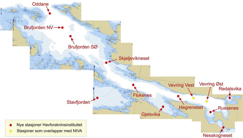 3 Figur 2. Stasjonsnett for hydrografi i Førdefjorden. Det hvite området i fjorden angir dybder dypere enn 200 m. Stasjonene som ble benyttet av NIVA er angitt i Sundfjord og Bjerkeng (2008).