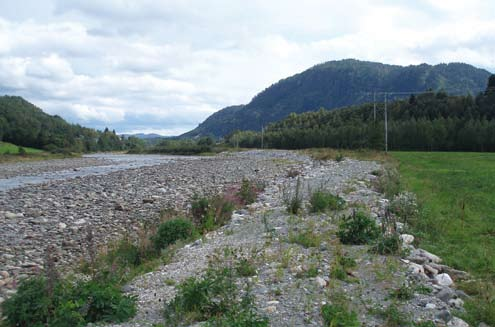 Tiltaksnummer og -navn: 10144 Sikring mot isgang og flom i Surna ved Sande Kommune/fylke: Surnadal, Møre og Romsdal Tidsrom: August 2006-1.