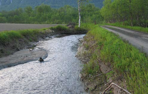 Norges vassdrags- og energidirektorat, Region Nord Tiltaksnummer og -navn: 10280 Salangselva ved Bones - sikring av jordbrukskanal, reparasjoner og miljøtiltak Kommune/fylke: Bardu, Troms Tidsrom: