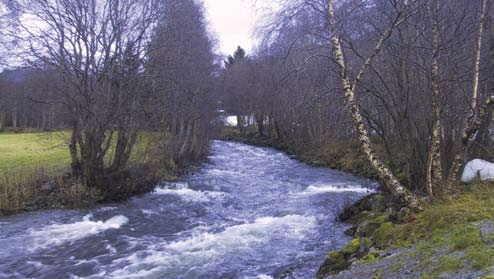 Norges Noregs vassdrags- vassdrags- og energidirektorat, og energidirektorat, Region Region Midt-Norge Vest Tiltaksnummer og -namn: 10001 Biotopjusteringar i Aureelv Kommune/fylke: Sykkylven, Møre og