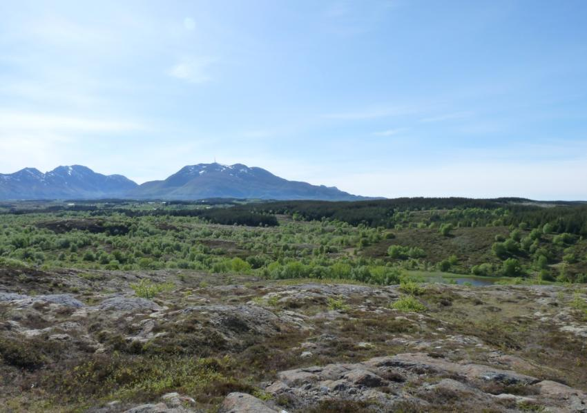 De mest konfliktfylte tiltakene (gruppe 1) Økt avvirkning av skog