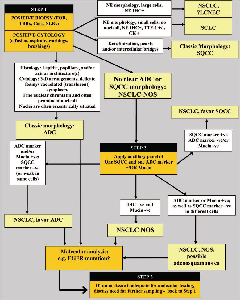 Behov for standardiserte retningslinjer for hvordan patologimateriale av NSCLC skal håndteres Anbefalinger fra IASLC/ATS/ERS for behandling