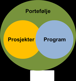 S i d e 5 God planlegging og gjennomføring av investeringsprosjekter er også viktig av hensyn til de ansatte som er involvert i dette arbeidet.