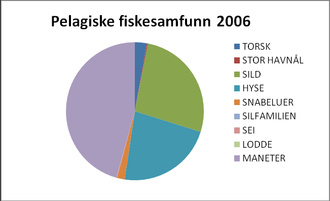 Generelt ble det ved økosystemtoktet i 2006 registrert store mengder med pelagisk fisk i det atlantiske vannet i sørlige og vestlige deler av Barentshavet (Figur 7).