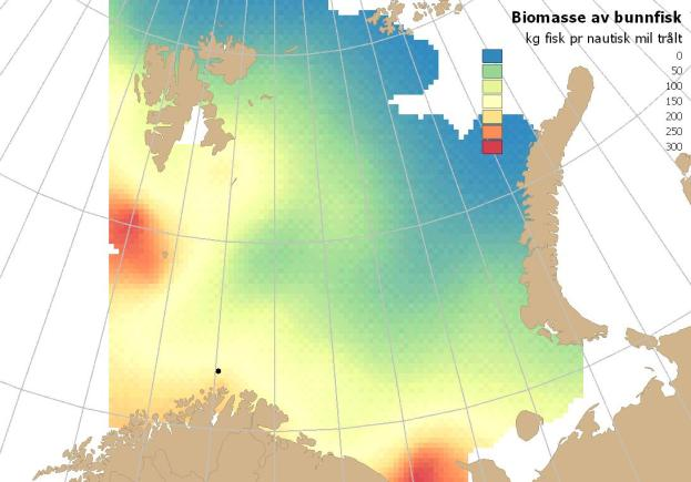 Fisk ved bunnen Bunnfisk ble registrert med høye biomasser i atlantisk vann i syd og vest både i 2006 og 2007 (Figur 9). Her dominerte torsk (Gadus morhua) og hyse (Melanogrammus aeglefinus).