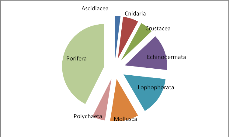 Topp 10-taxa fra bomtrål I antall (Tabell 6a) viste 2007-dataene en jevn fordeling av individene over mange arter, det vil si at ingen stasjoner hadde mer enn 55 % dominans summert over de ti øverst