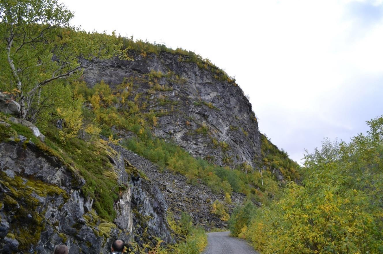 Kapittel 8 Figur 8-8: Mulig svakhetssone skjærer inn under bergknausen. På bergveggen kan det observeres hvite intrusjonsganger. I forkant av bergknausen ligger en skredvifte med helling på 30-35.