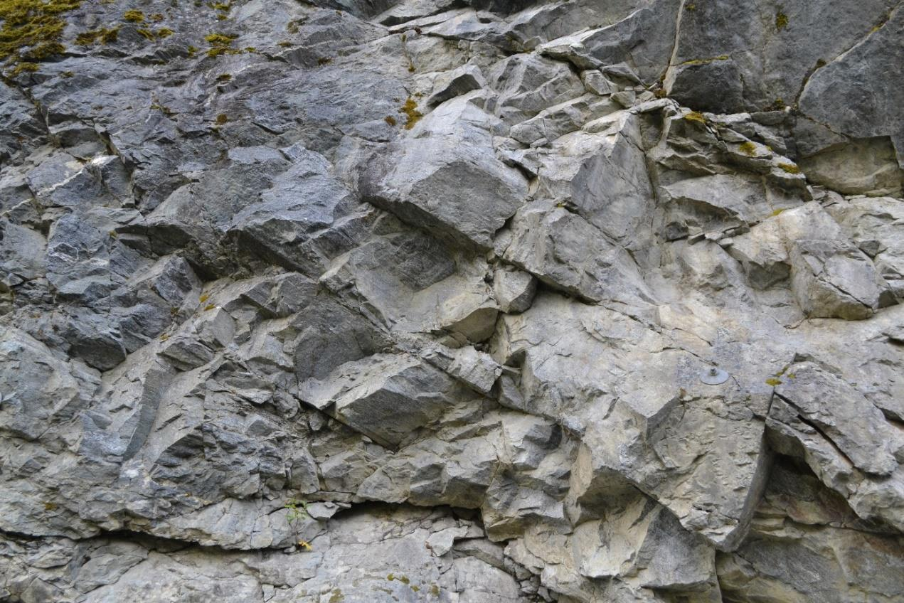 Kapittel 8 Figur 8-4: Eksempel på bergskjæring der foliasjonen faller mot sør. Bildet er tatt mot øst. (Foto: Chhatra Bahadur Basnet).