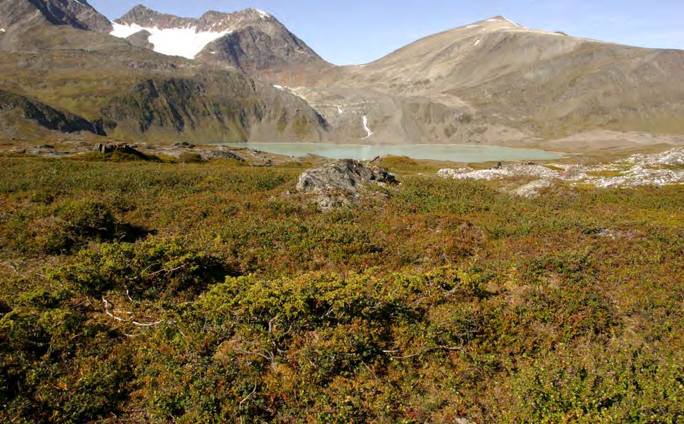 Vanntilgangen er som regel god først i voksesesongen, men kan senere avta på de mer snøleieprega utformingene.