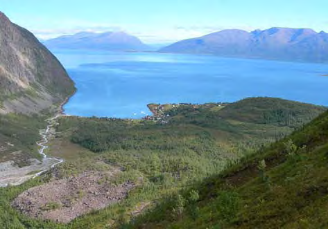 Jordbruksområdene ligger spredt langs fjorden. Mesteparten av beitemarka nedenfor utmarksgjerdet er ute av hevd, mens dyrka marka stort sett slås.