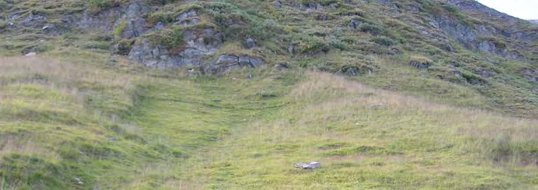 Beite: Delområdet har store arealer av den mest frodige fjellvegetasjonen, høgstaudeeng og lågurteng. Begge er i en særlig god beitetilstand.