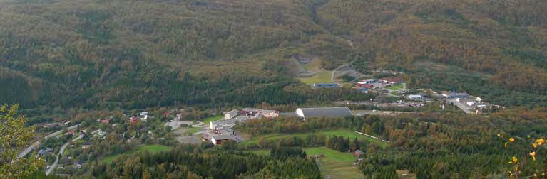 Beite: Beitekvaliteten i området er varierende, men midlere karakter for Tyttebærdalen Fastdalen settes til godt beite. Beitetrykket varierer også.