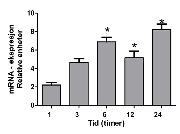 4.3. Tidsavhengig effekt av rosiglitazon på ADRP-uttrykk ADRP er kjent for å være regulert av PPAR, og PPAR-agonister er vist å øke ADRP-uttrykket [33].