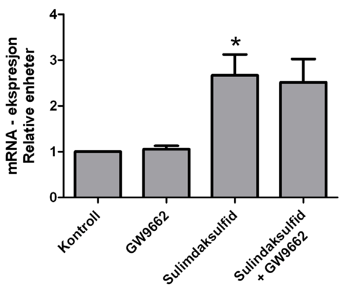 4.7. Effekt av GW 9662 på sulindaksulfid-stimulert aktivering av ADRP Cellene ble dyrket et døgn i serumholdig medium og ytterligere et døgn i serumfritt medium før de ble preinkubert med 10 µm GW