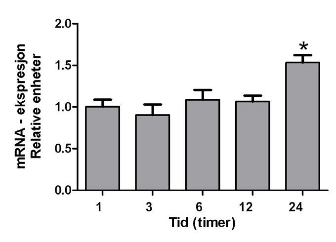 4.11. Tidsavhengig effekt av rosiglitazon på ekspresjon av EP2-reseptor mrna Tidligere forsøk har vist at rosiglitazon og utvalgte NSAIDs nedregulerer PGE 2 -stimulert camp produksjon i HT29