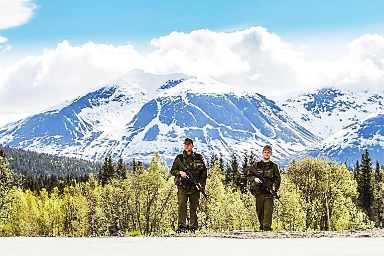 HV-14 Visjon: HV-14 skal være en Troverdig, Tilgjengelig og Relevant bidragsyter til samfunnssikkerhet Landsdekkende (45 000) Lokale styrker som forsvarer hjemtrakten Reaksjonsevne Dagens oppgaver