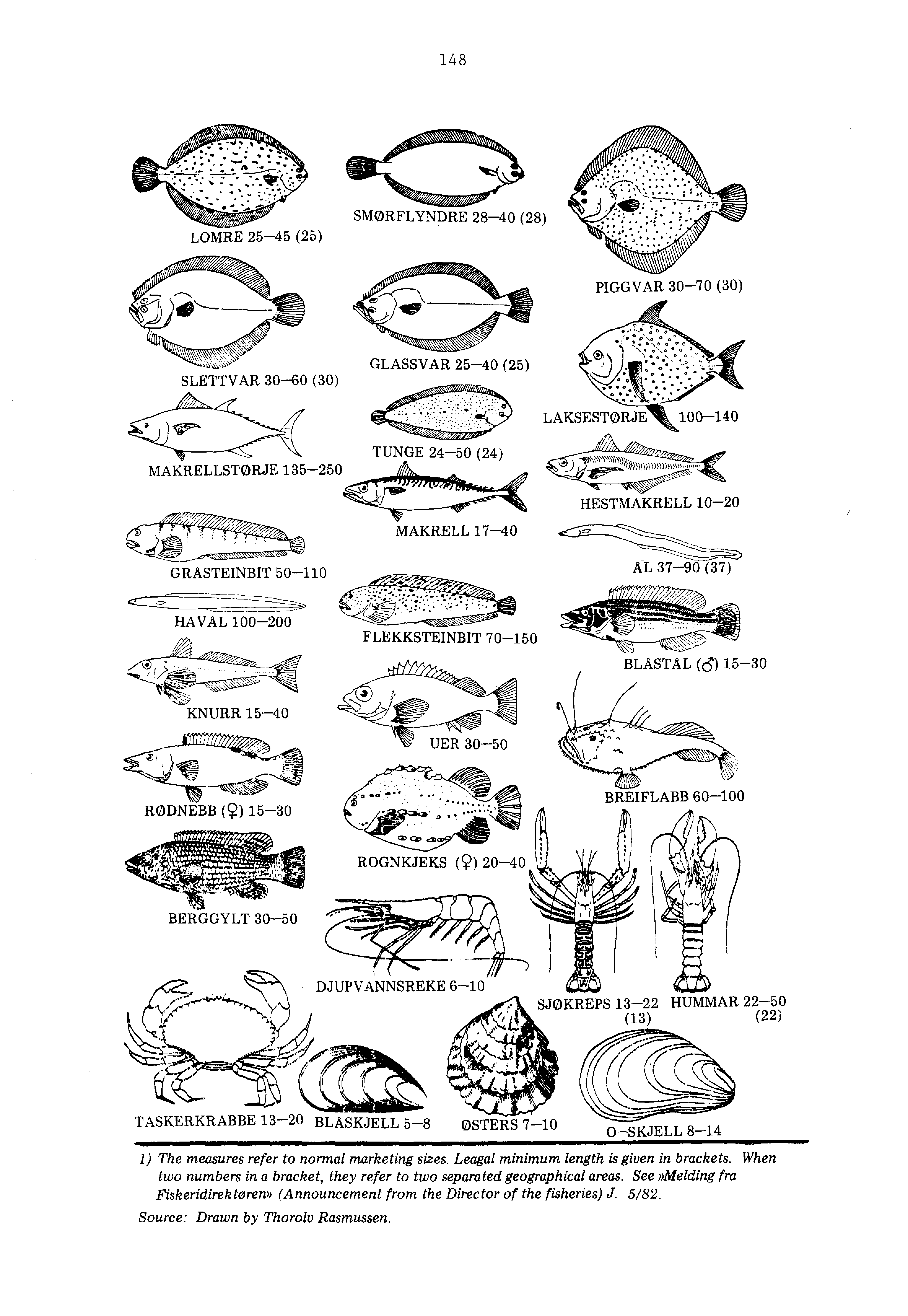 148 LOMRE 25-45 (25) SMØRFLYNDRE 28-40 (28) ei///,/, fr PIGGVAR 30-70 (30) SLETTVAR 30-60 (30) GLASSVAR 25-40 (25) LAKSESTØRJE 100-140 MAKRELLSTORJE 135-250 TUNGE 24-50 (24) J Ifee