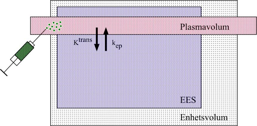 Figur 2-14: Farmakokinetisk to-roms modell. Modellerer transport av kontrastmiddel mellom plasmavolum og det ekstravaskulære ekstracellulære volumet (EES) i et enhetsvolum for vev.