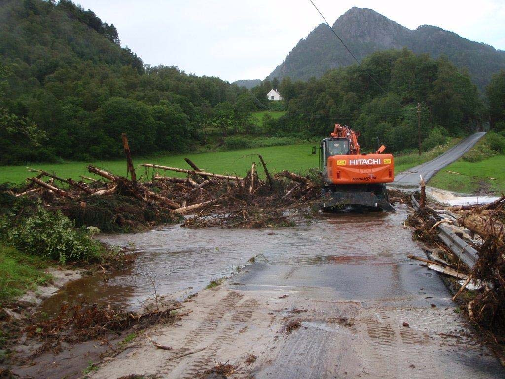 Sårbarheit pga naturforhold: Rasfare, mykje skog