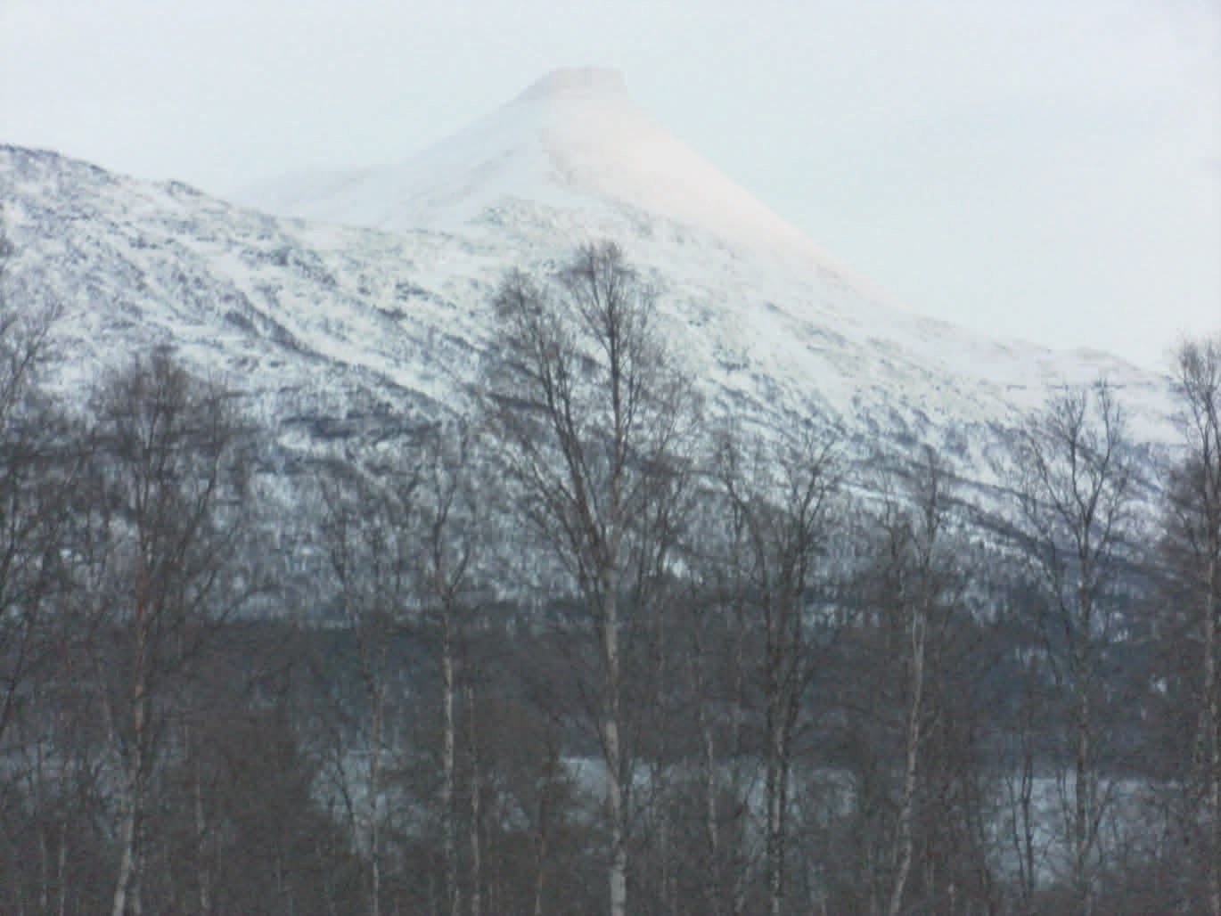 Fjellfroskvatn 19 januar 2012 i Sapmi Foto og tekst: Alf ifrå Fjellfroskvatn I dag var første dagen med solgløtt i Hattavarre (1408 meter). Sist jeg så sola var 12 november i fjor.