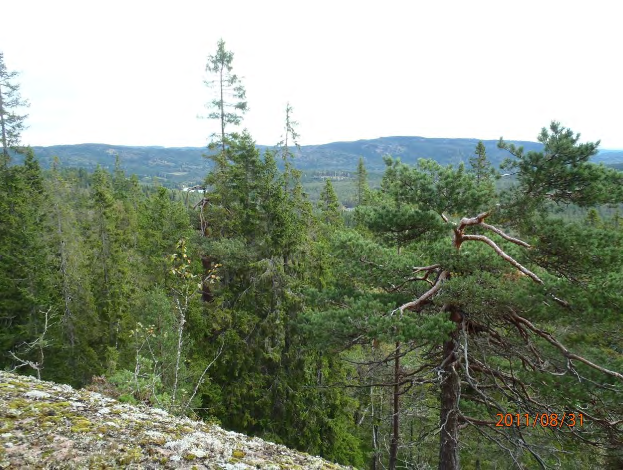 Foto: Frode Løset, Sweco Norge AS.