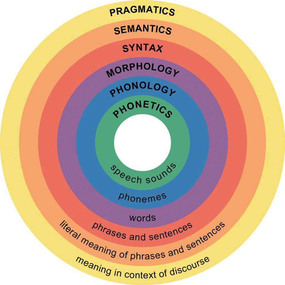 Lingvistiske nivåer Fonetikk/fonologi: lyder ord Morfologi: morfemer ord