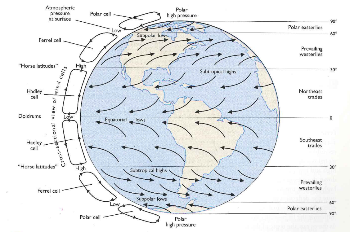 Løsningsforslag til oppgaver fra gruppetime 3. november. 1. How does the sun influence the movement in the sea: Directly (a) The sun influences the sea directly by warming the surface water.