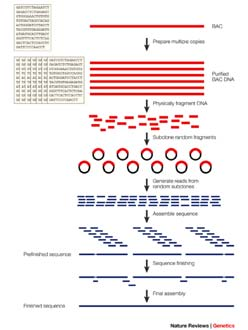 segment Små, overlappende DNA