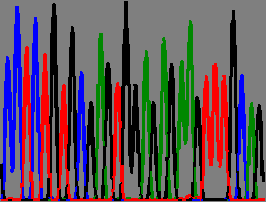 egnet for DNA sekvensering 14