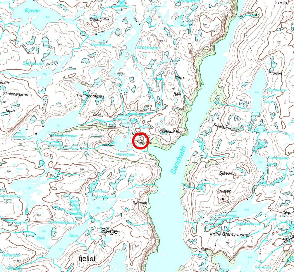 Status vedkomande villreininteressene i området Området ligg heilt sør i Setesdal Ryfylke.