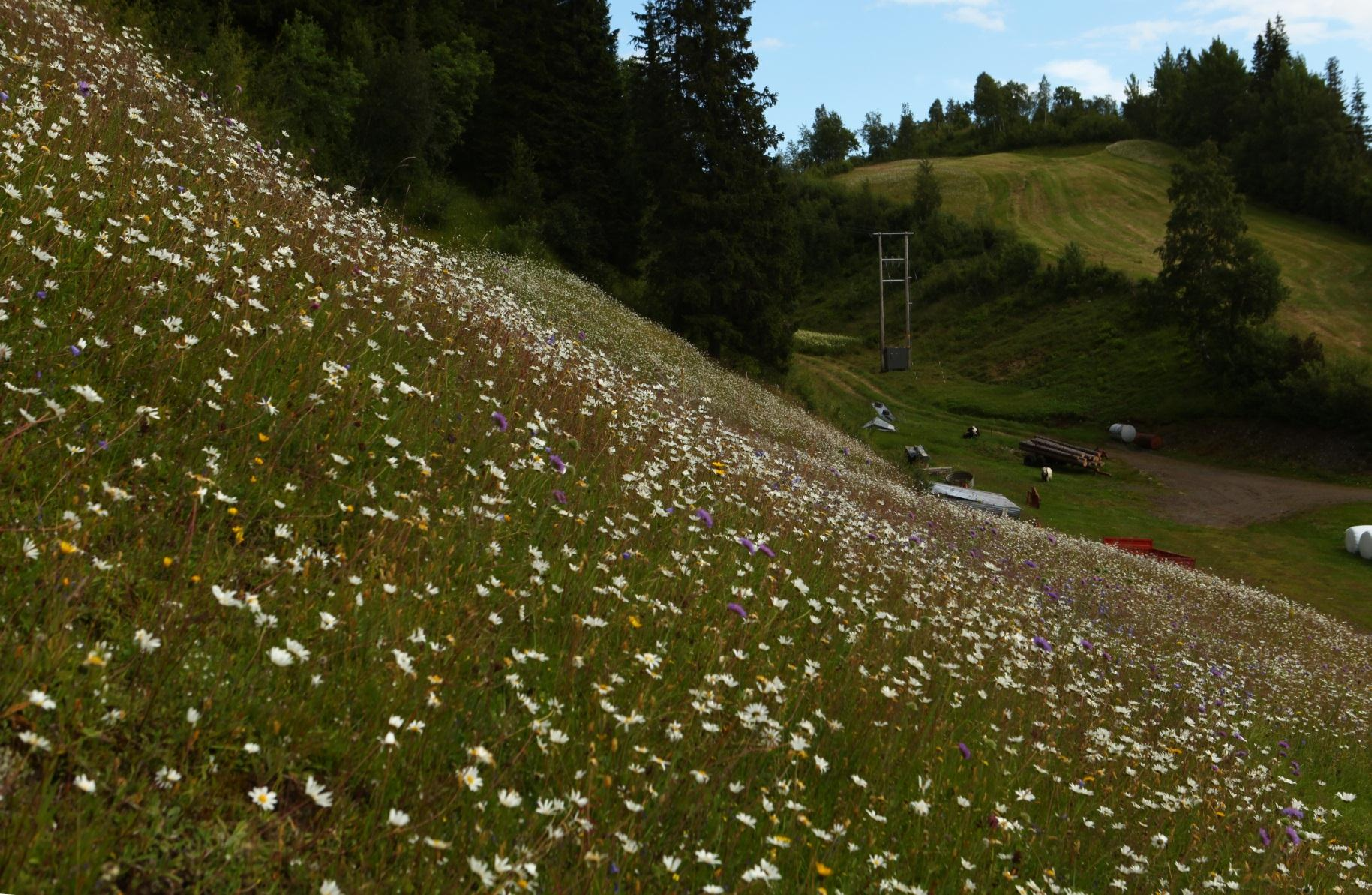 Landbruket har