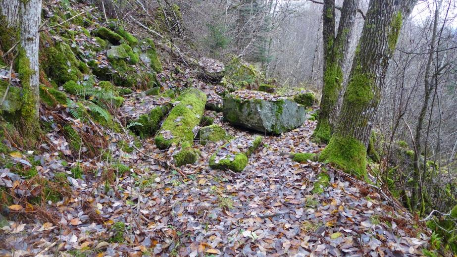 Det er mykje tett lauvskog med ein del gran- og furuskog. 5.4 Drenering Det er ingen større elvar som renn i området for planlagd landbruksveg.