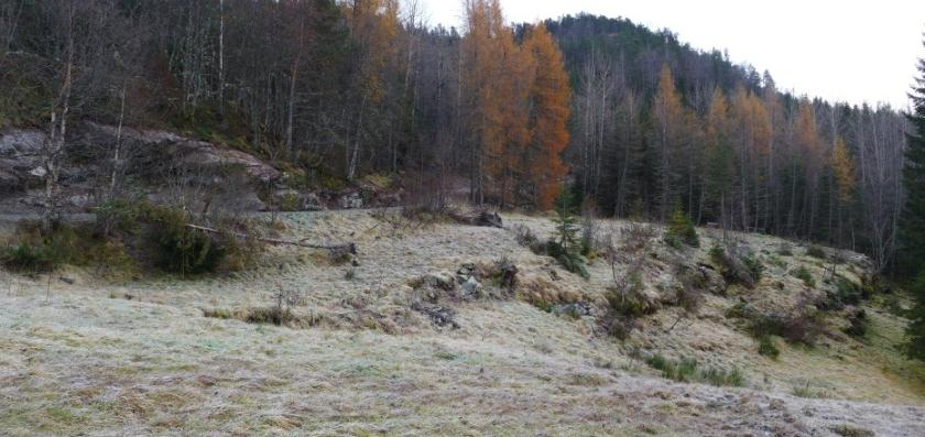 SKREDFAREVURDERING FOR NY LANDBRUKSVEG, SKJERVET-TVEBERG, VOSS KOMMUNE 14 7.