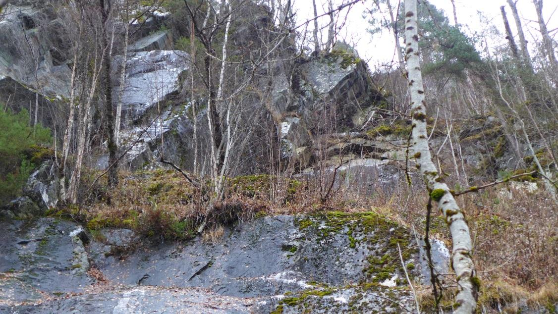 SKREDFAREVURDERING FOR NY LANDBRUKSVEG, SKJERVET-TVEBERG, VOSS KOMMUNE 16 eventuelle steinsprang vil ha direkte utløp i veg.