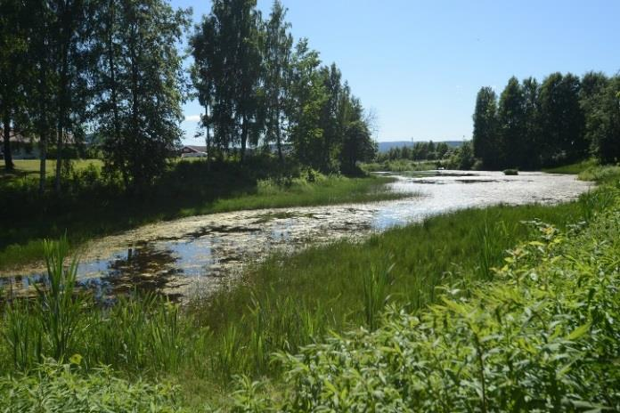 Innledning Bakgrunn for tiltaksplanen Lahelldammen er en viktig ynglelokalitet for fire ulike amfibiearter, hvor spesielt bestanden av småog storsalamander er stor i norsk målestokk.