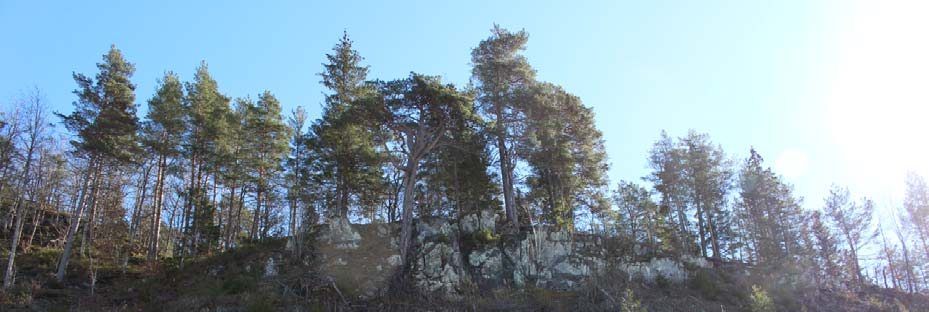 Figur 12. Bildet viser skrenten i Fareområde 4. Løsmasseskred NGU sine løsmassekart indikerer bart fjell, stedvis med tynt morenedekke.