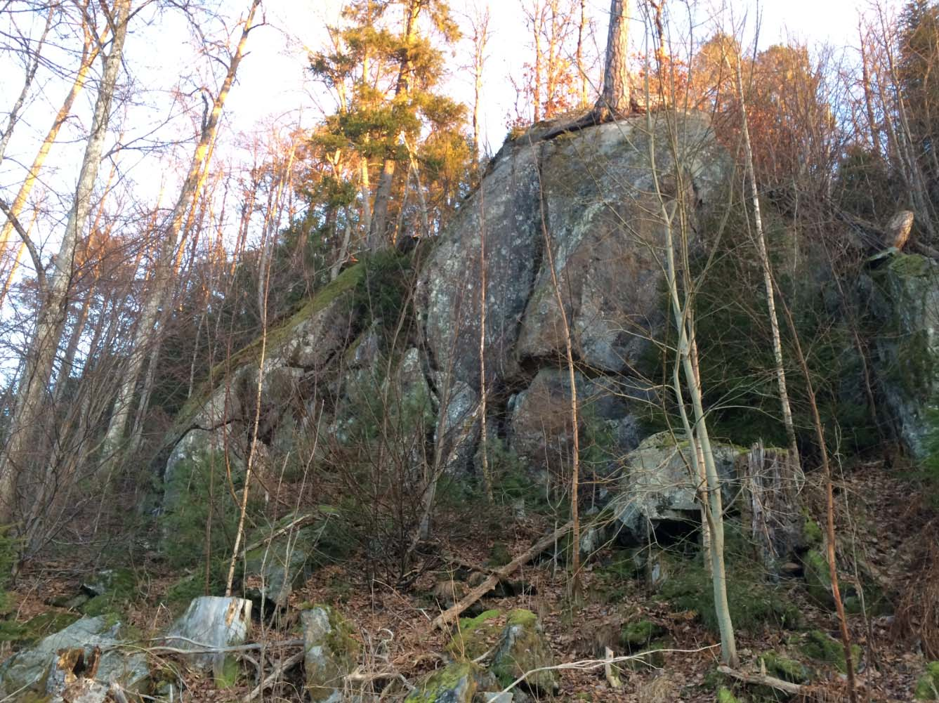 Berggrunn Bergarten i det kartlagte området består av migmatittisk gneis. Oppsprekkingsgraden på berget i det undersøkte området er moderat og berget har generelt et relativt storblokkig preg.