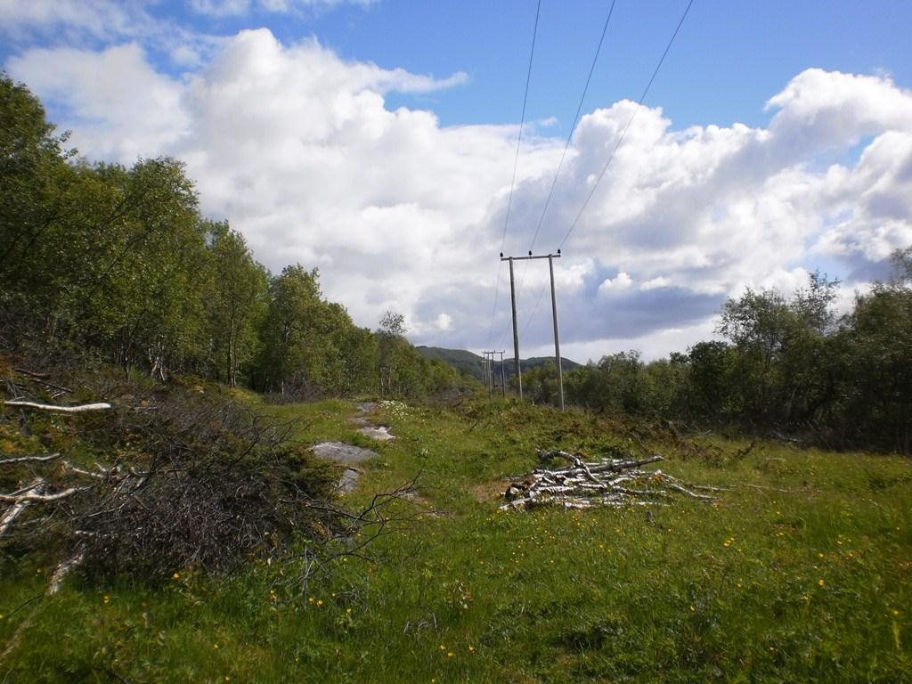 Ved Lemsundet står det et naust. Ved gården Myra ligger det en vannkumme. I Lemsundet ligger det en gammel motor i fjæra.