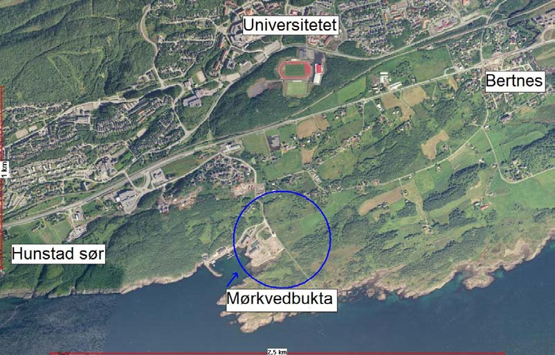 1 Innledning 1.1 Bakgrunn I forbindelse med at boligfeltene Mørkved sør og Hunstad nord skal bygges ut, er det behov for ny grunnskole i området.