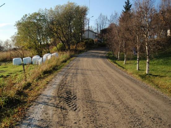 Det er ikke anlagt fortau på strekningen. Vi har ikke trafikktall for strekningen, men biltrafikken er sannsynligvis meget beskjeden, spesielt øst for Buveien.