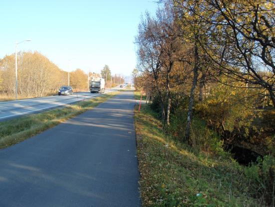 Figur 22 Vegetasjon begrenser sikten ved nr. 40, sett mot øst Stikryssing Om lag 100 meter øst for Buveien går det en sti som krysser både rv. 80 og jernbanen, se figur 23.