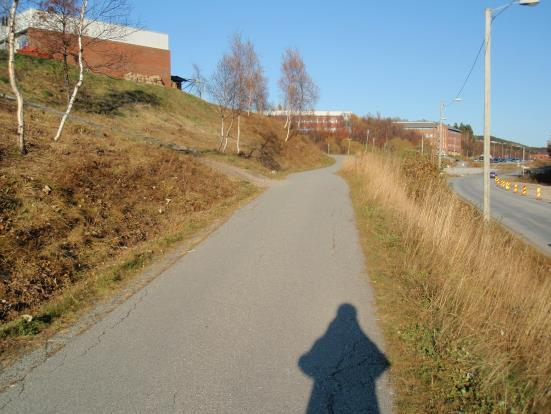 Trapp Figur 34 G/S-veg langs Mørkvedveien, sett mot øst For å komme til Bodin videregående skole er det raskest å bruke en trapp på nordsiden av fortauet.