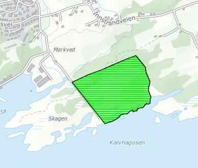 Mørkvedbukta skoleområde Konsekvensutredning av tema biologisk mangfold Oppdragsnr.: 5143363 Dokument nr.:1 Revisjon:1 Figur 4: Avgrensing av den registrerte naturtypen med verdi svært viktig.