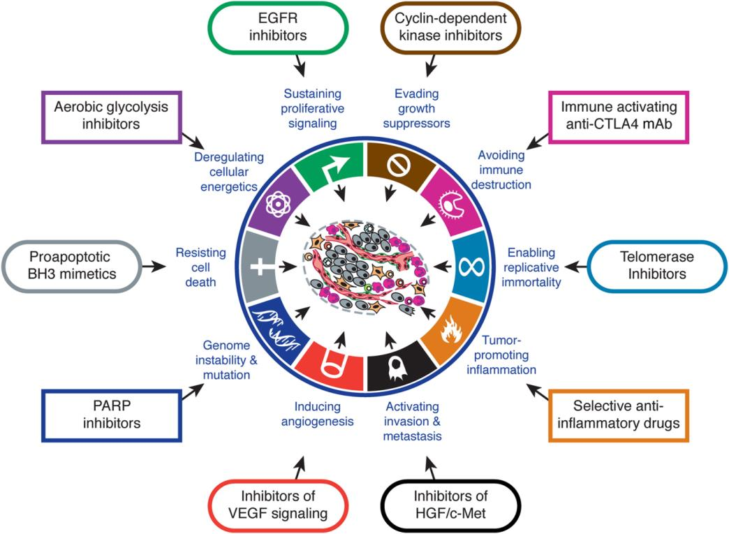 omics -- > systemmedisin -- > persontilpassa medisin Shrager J, Tenenbaum